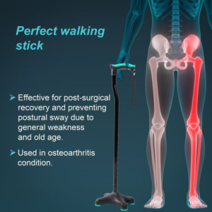 Quadra Walking Stick